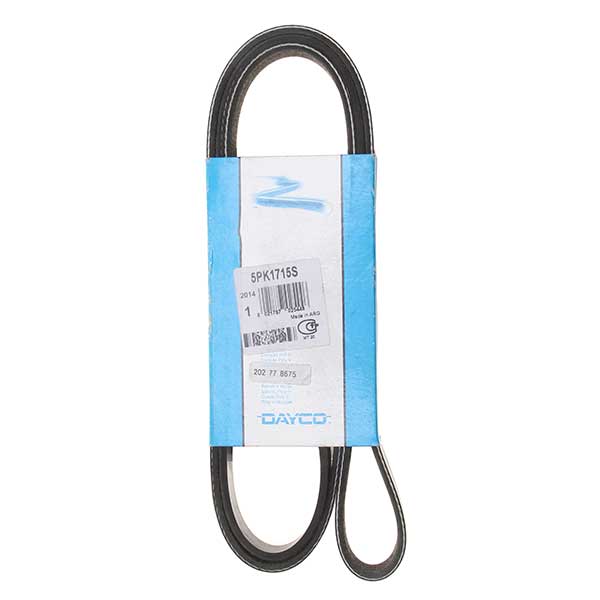 Contitech Drive Belt 202778675