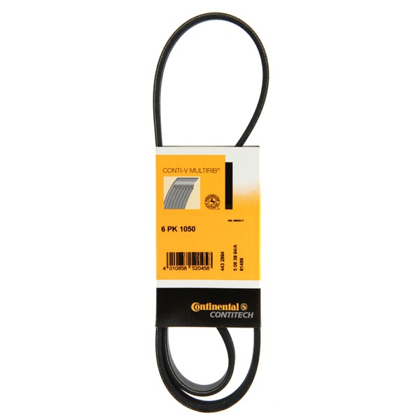 Contitech Drive Belt 202778735