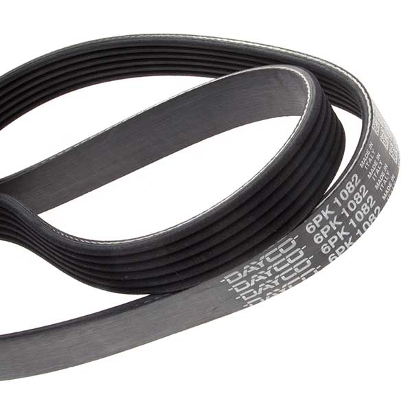 Contitech Drive Belt 202778755