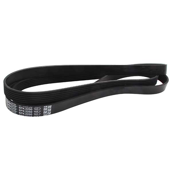 Dayco Drive Belt 202778925