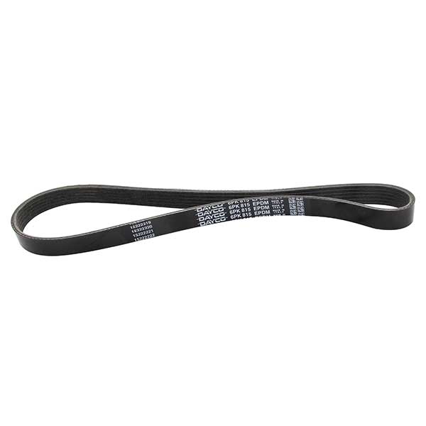 Contitech Drive Belt 202778965