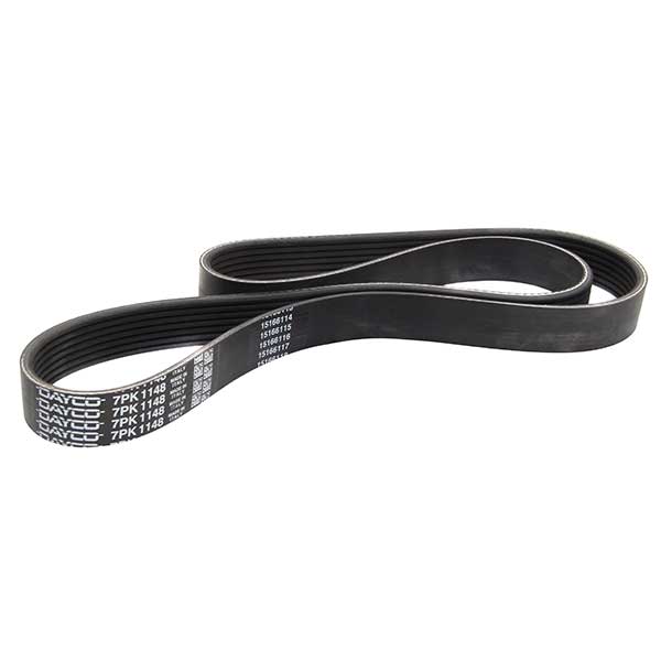 Contitech Drive Belt 202779035