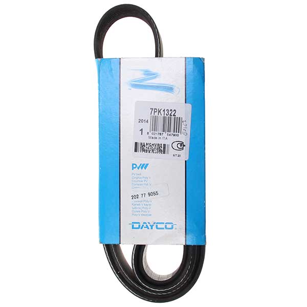 Contitech Drive Belt 202779055