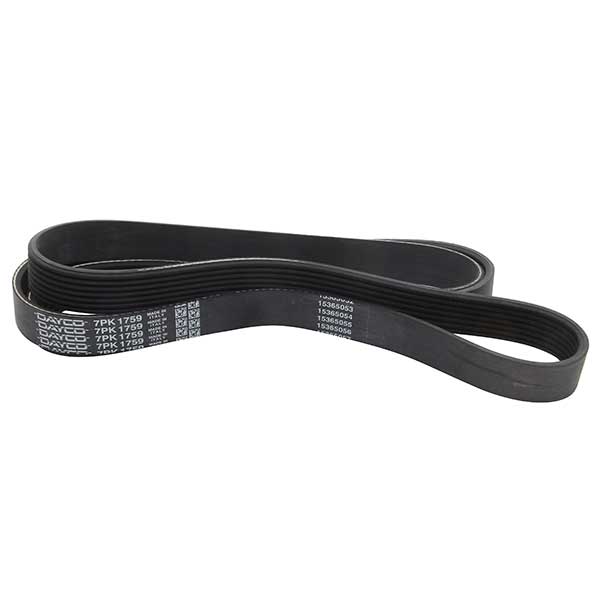 Dayco Drive Belt 202779165