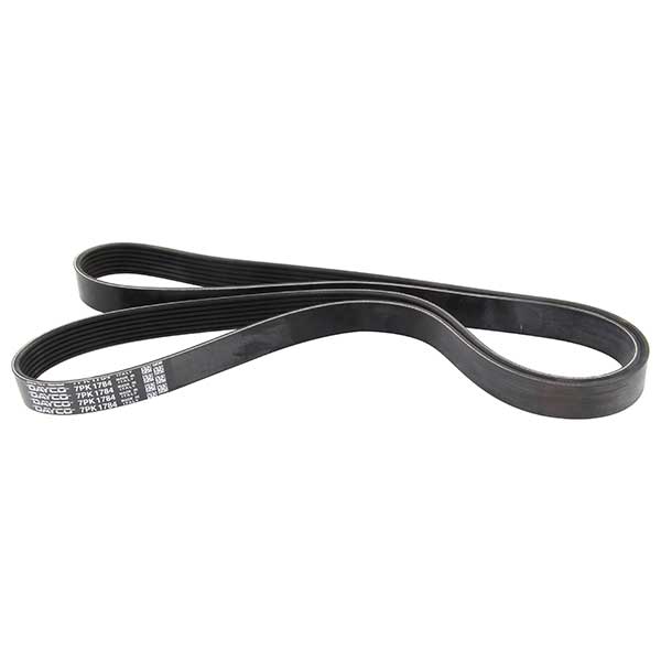 Contitech Drive Belt 202779175