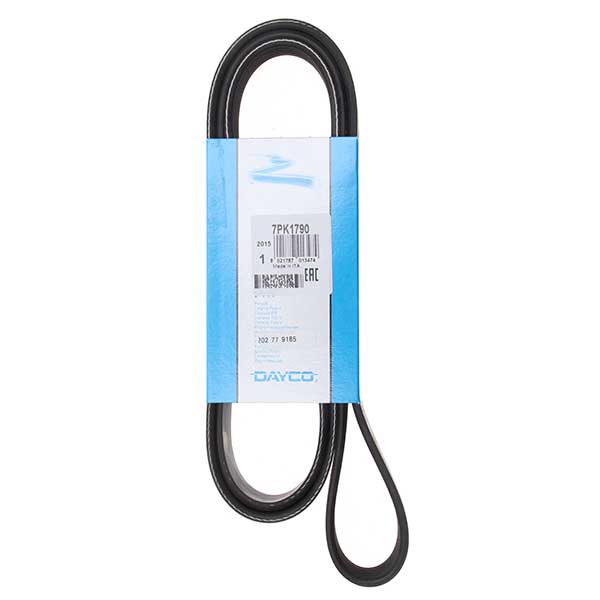 Contitech Drive Belt 202779185