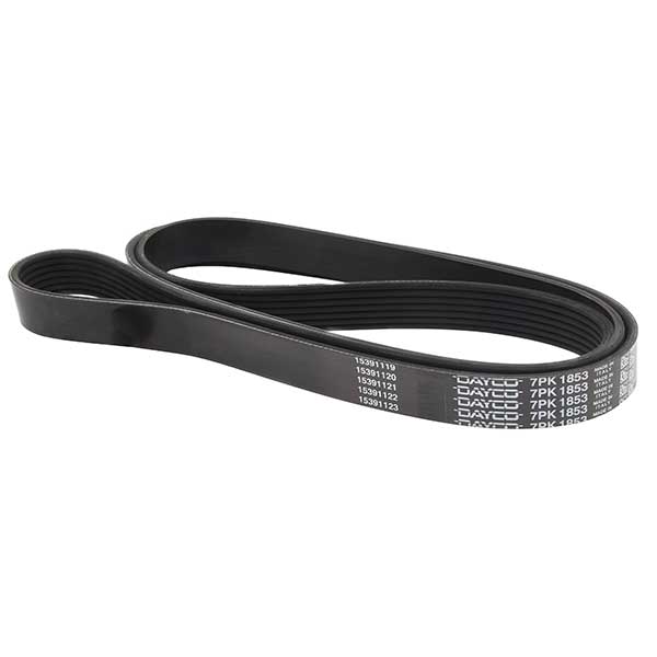 Dayco Drive Belt 202779195