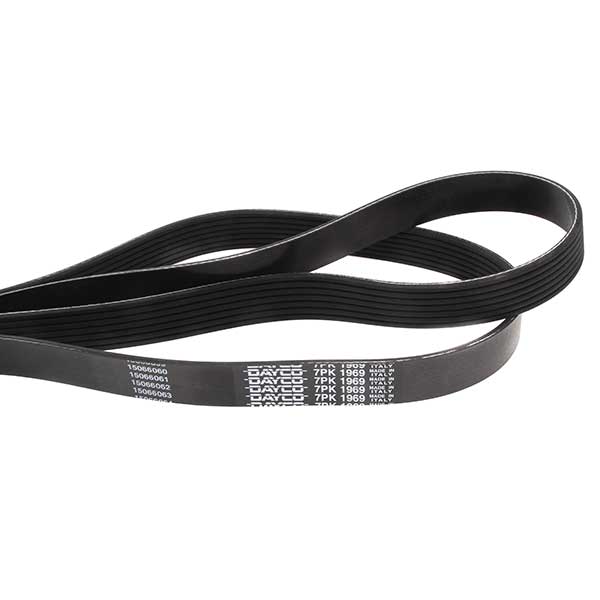 Dayco Drive Belt 202779235
