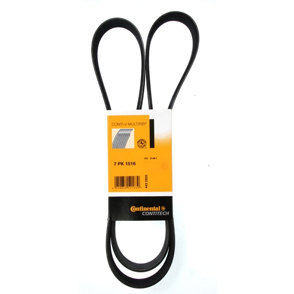 Dayco Drive Belt 202779355