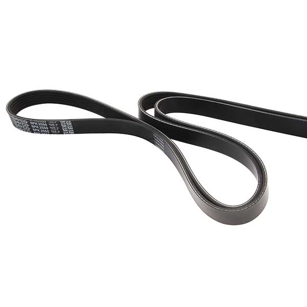 Dayco Drive Belt 202880015