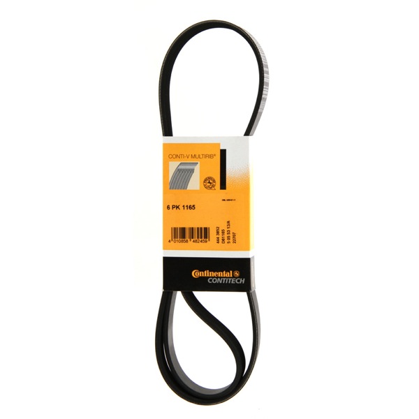 Contitech Drive Belt 202991105