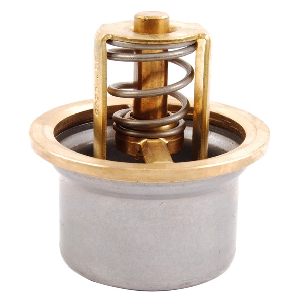 Wahler Thermostat 209110400