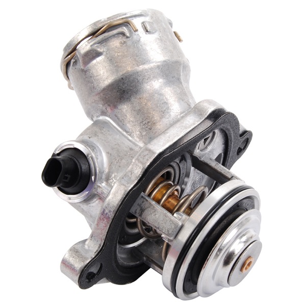 Wahler Thermostat 209220430