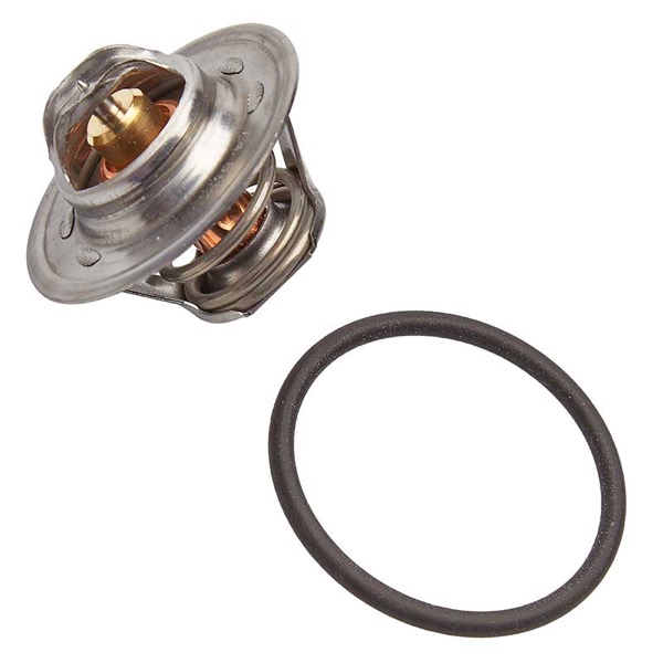 Vernet Thermostat 209440165