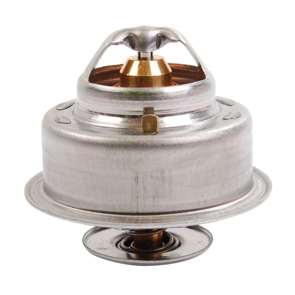 Vernet Thermostat 209660020