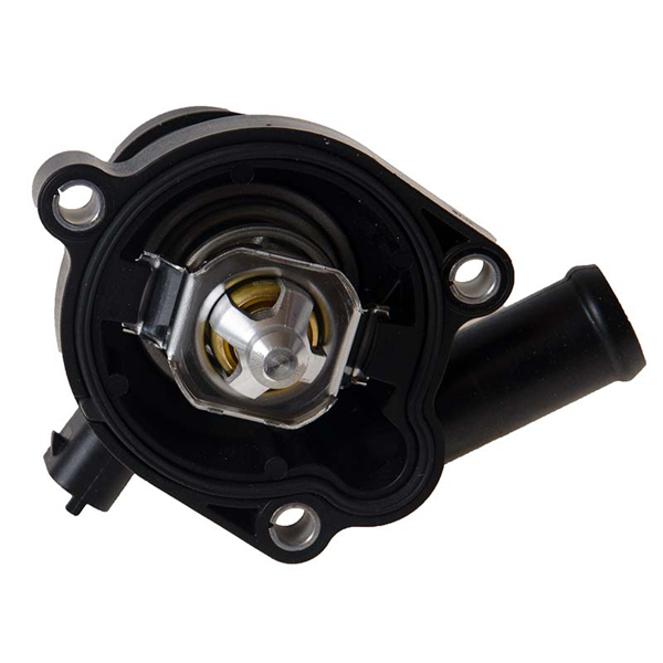Mahle Thermostat 209720150