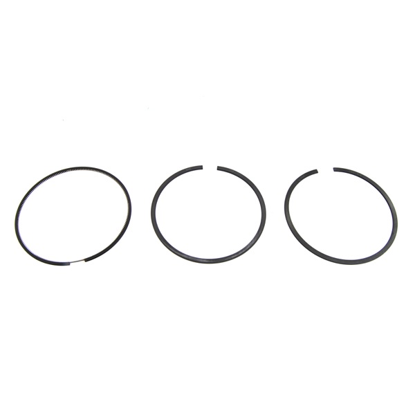 OE Quality Piston Ring Set 307330250