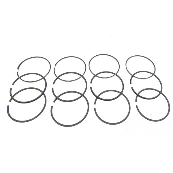 Elring Piston Ring Set 307440421