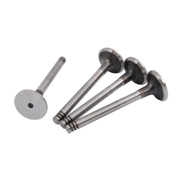 Motive Engine Valve 308440721