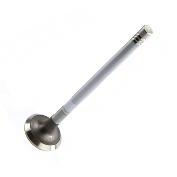 Motive Engine Valve 308590391