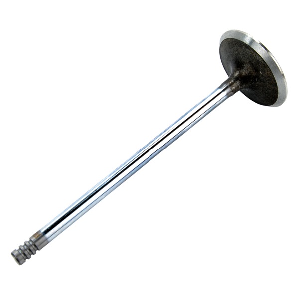 Motive Engine Valve 308720151