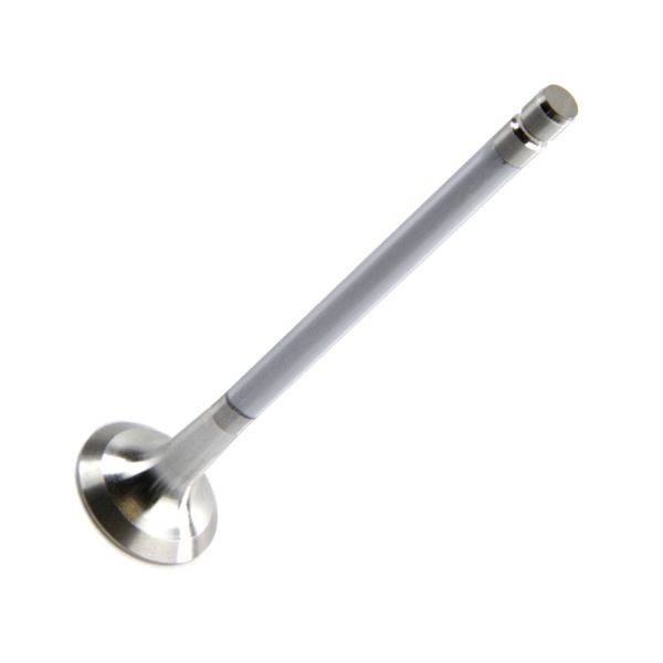 Motive Engine Valve 308735081