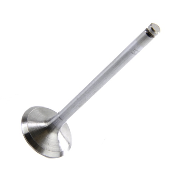 Motive Engine Valve 308735641