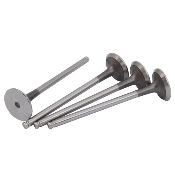 Motive Engine Valve 308745331