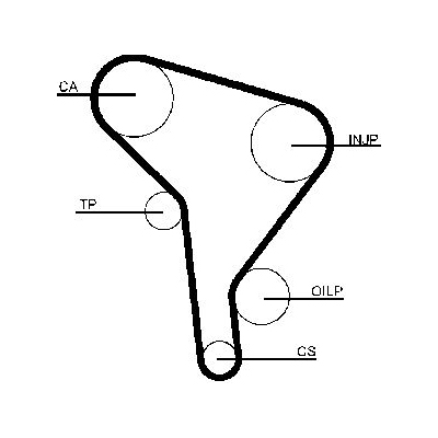 Dayco Timing Belt 325440085