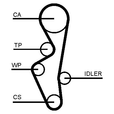 Dayco Timing Belt 325545625