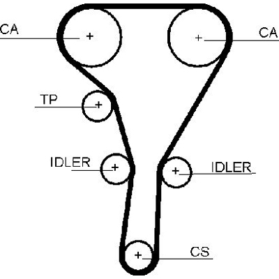 Dayco Timing Belt 325745355