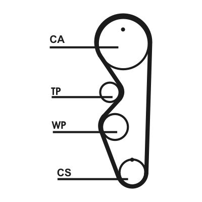 Dayco Timing Belt 325770205