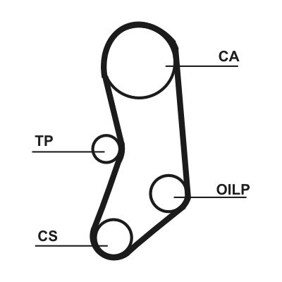 Dayco Timing Belt 325770635