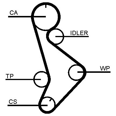 Dayco Timing Belt 325773105