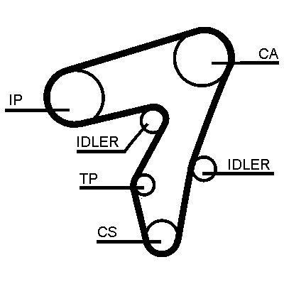 Contitech Timing Belt 325773155