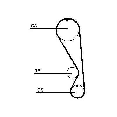 Contitech Timing Belt Kit 348771835