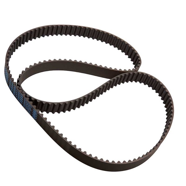 Dayco Timing Belt 325690855