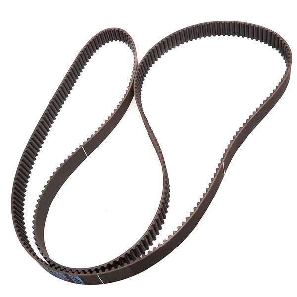 Contitech Timing Belt 325771065