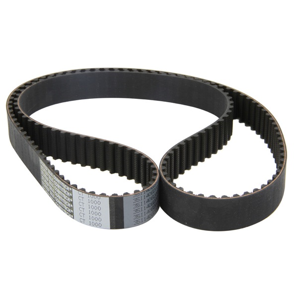 Dayco Timing Belt 325771195