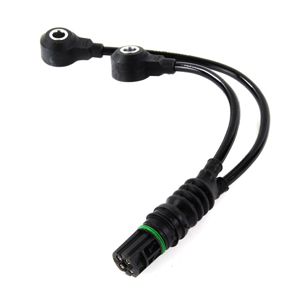 Facet Engine Sensor 419110380