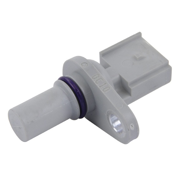 ERA Engine Sensor 419590150