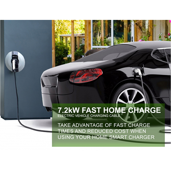 Simply Electric Vehicle Cables 459770550
