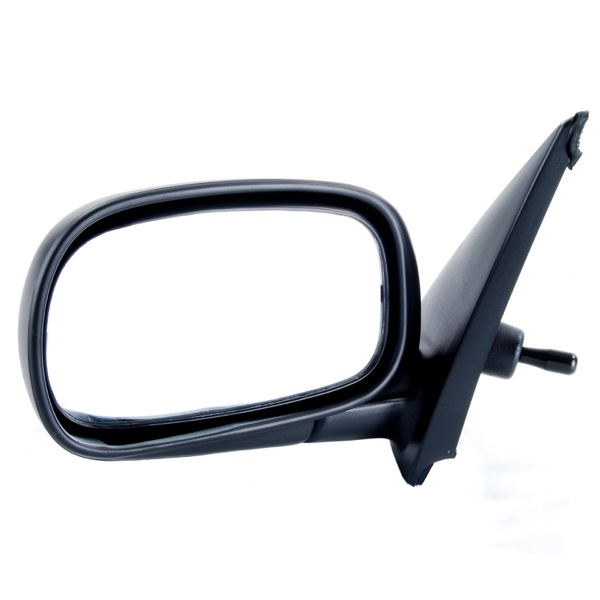 TYC Mirror 489700011