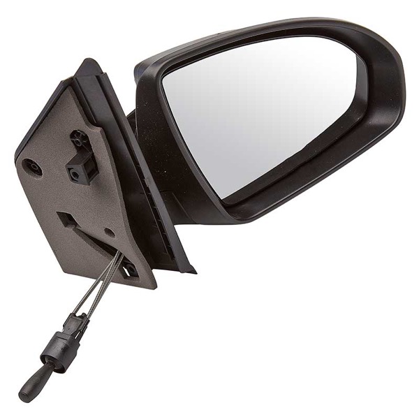 TYC Mirror 489910021