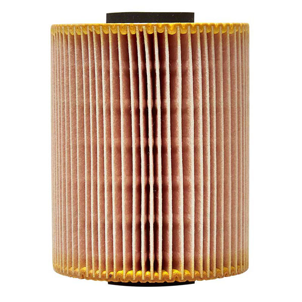 Mann Oil Filter 501110079