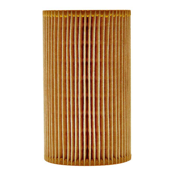 Mann Oil Filter 501220029