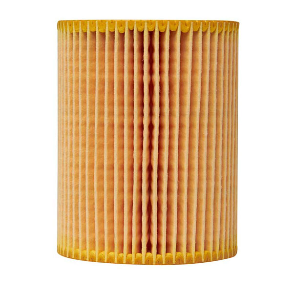 Mann Oil Filter 501720039