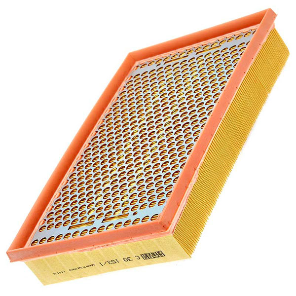 Mann Air Filter 502110299
