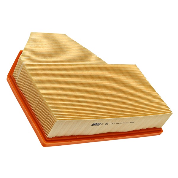 Mann Air Filter 502110389