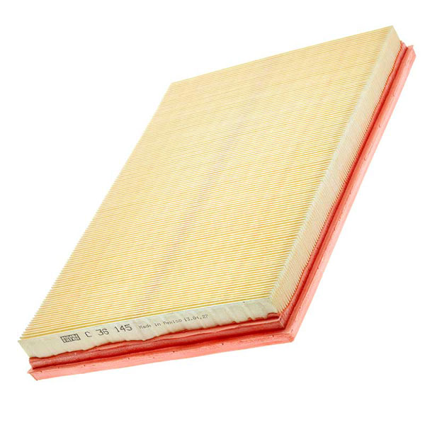 Mann Air Filter 502110449